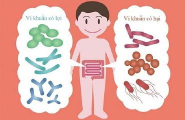 Men vi sinh là gì? Những điều cần biết khi bổ sung men vi sinh cho bé
